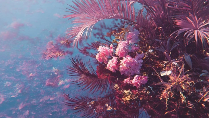 Олег Шепс, Не знаю кто, не знаю как, дает мне деньги просто так | Источник: Midjourney