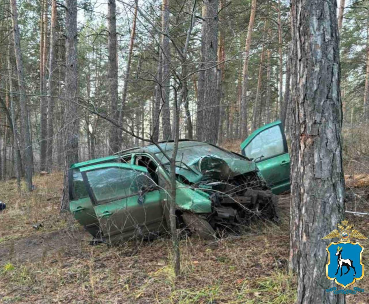 Пассажир погиб. В Комсомольском районе Тольятти иномарка влетела в дерево