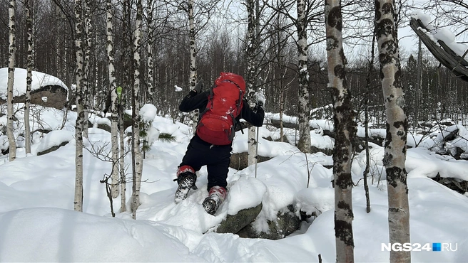 Типичный тут рельеф | Источник: Алексей Тайганавт / NGS24.RU