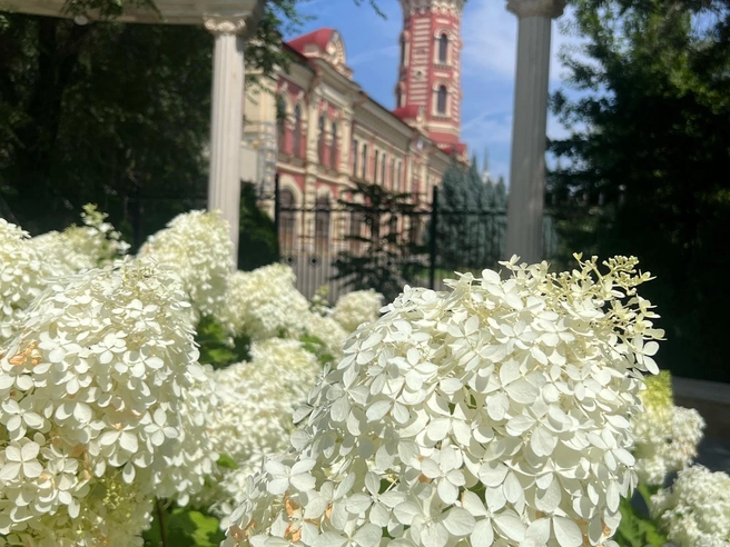 Снимок, передающий атмосферу и даже запахи | Источник: читатели V1.RU