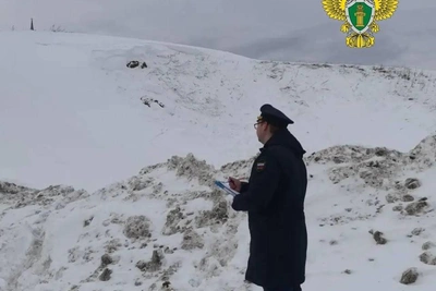 Двое детей погибли под снежной лавиной на Урале