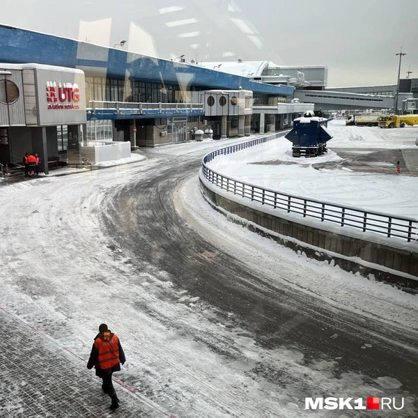 Источник: читатель MSK1.RU Виктория