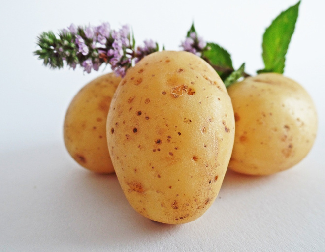 Маринованный картофель на зиму в банках маринованный картофель на зиму в банках