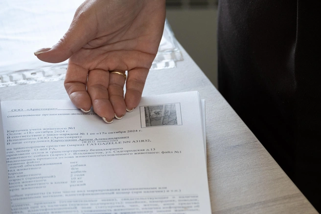 Суд назначен на 17 ноября | Источник: Елена Буйвол / VLADIVOSTOK1.RU