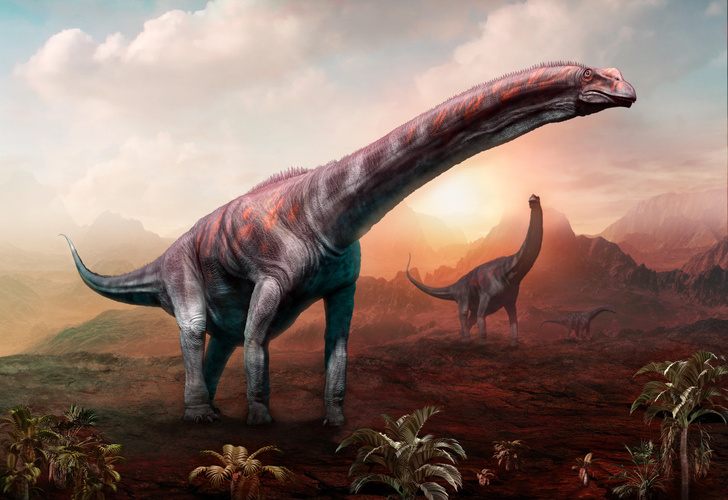 Лайфхак зауропода: ученые выяснили, как ноги динозавров выдерживали их 50-тонный вес