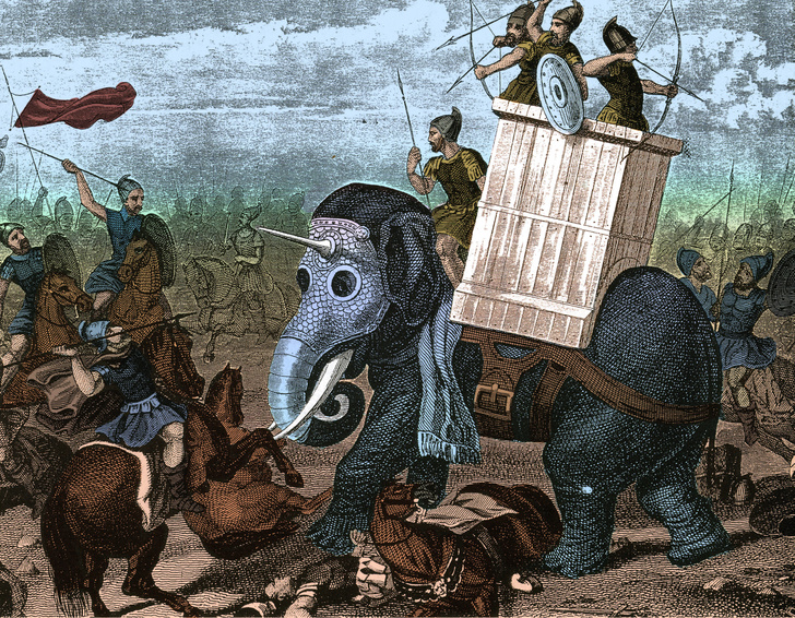 Будни элефантерии: краткая история боевого применения слонов | Вокруг Света