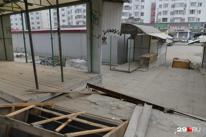 Источник: Иван Митюшёв / 29.RU
