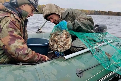 Вологодские промысловики добыли 1,94 тонны раков