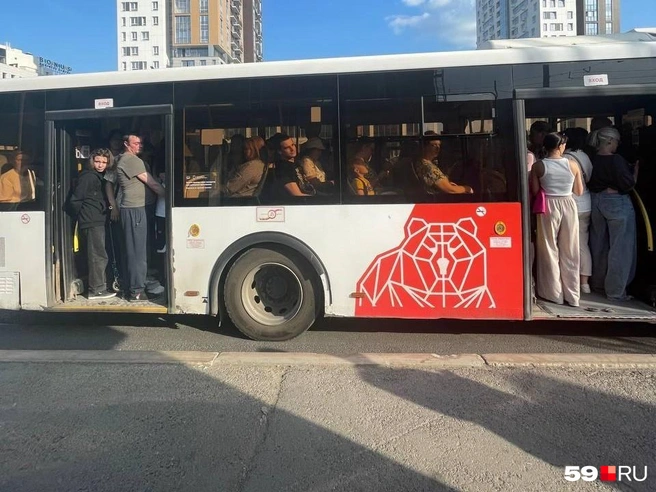 Примерно такую ситуацию мы наблюдали в понедельник. На фото&nbsp;— 67 автобус, приехавший вечером | Источник: Тома Минадзе / 59.RU