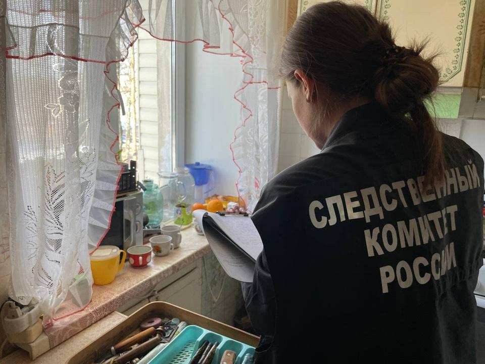 В Вологде мужчину обвинили в убийстве матери