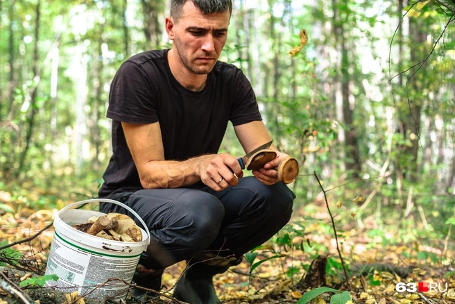 Грибы лучше срезать, а не вырывать из земли | Источник: Роман Данилкин / 63.RU