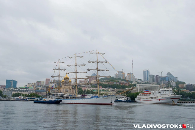 Источник: Елена Буйвол / VLADIVOSTOK1.RU