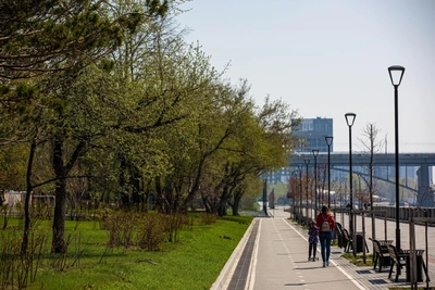 Потепление до +32 °C придет в Новосибирскую область после холодов
