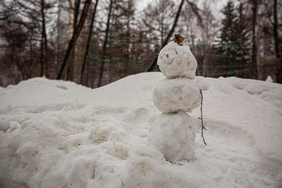 Губернатор назвал имя тракториста, спасшего снеговика