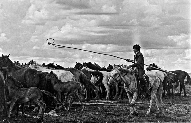 Источник: Евгений Епанчинцев