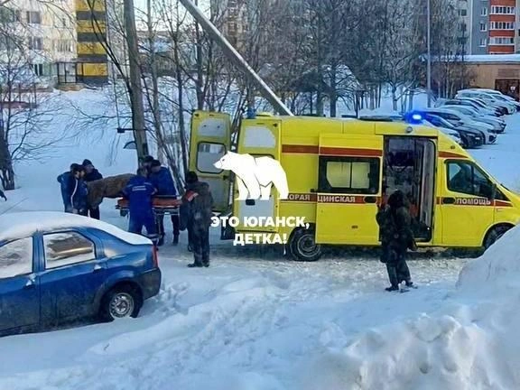 Сейчас подросток находится под наблюдением врачей | Источник: «Это Юганск, детка» / T.me