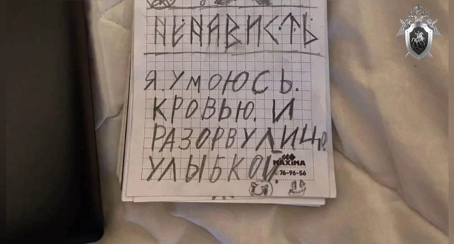 Большинству осужденных на момент преступлений было 16–17 лет | Источник: ГСУ СК России по Красноярскому краю и Республике Хакасия / Telegram