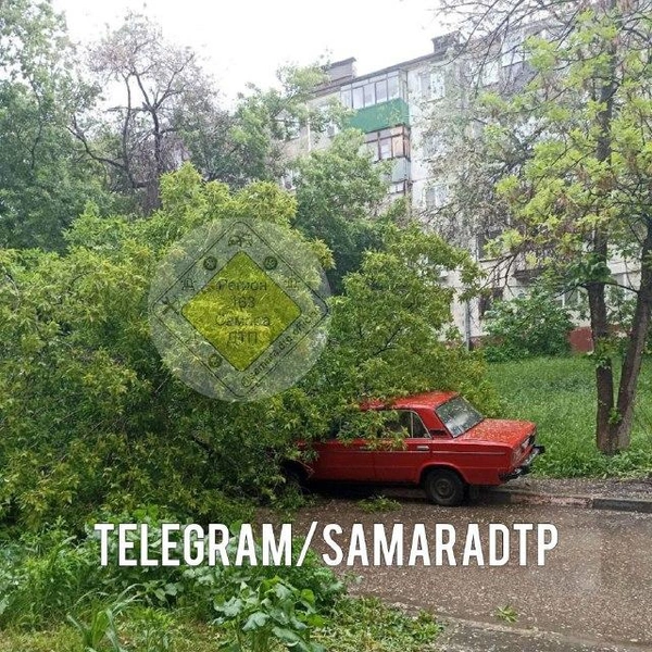 Источник: «Самара ДТП» / T.me