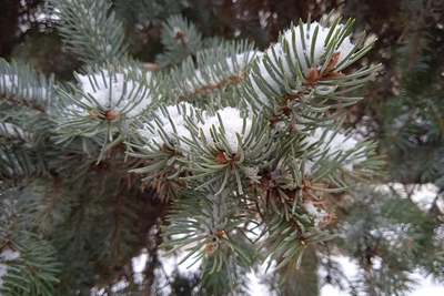 Ulyanovsk Schools May Cancel Primary Classes Over Cold Snap