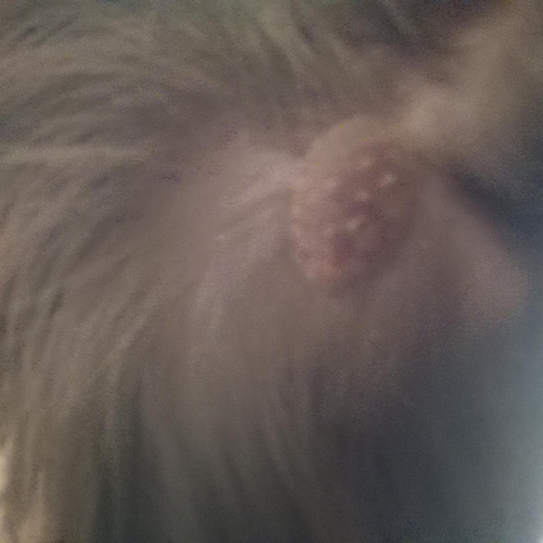 Изображение пользователя