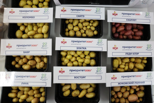 Источник: Бурятская ГСХА