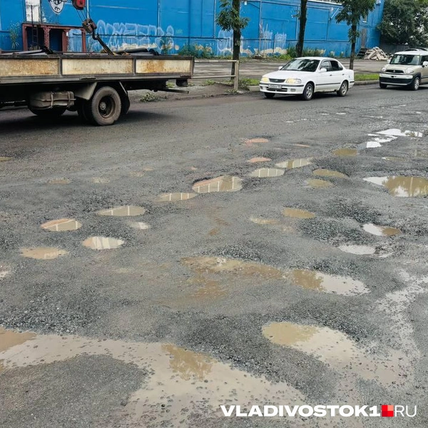 Источник: Елена Буйвол / VLADIVOSTOK1.RU