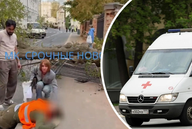 Дерево упало на людей в центре Москвы | Источник: МК: срочные новости / T.me, Дмитрий Толстошеев / MSK1.RU