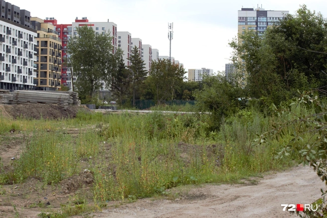 Зеленые островки тут еще есть. Это место поросло травой, а раньше здесь были частные дома  | Источник: Павел Красоткин / 72.RU 