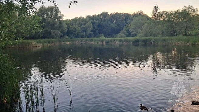 С начала купального сезона в регионе вода забрала уже 15 жизней | Источник: МЧС России по Самарской области