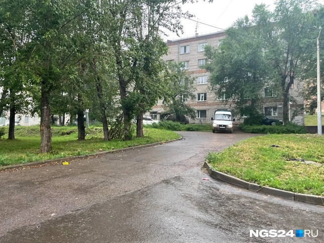 Если что, у нас есть рубрика «Автохамы», где мы публикуем подобных «героев» | Источник: Дмитрий Мамаев / NGS24.RU