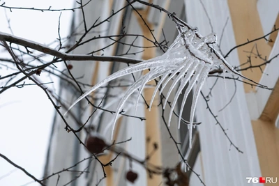 Strongest Winter Frosts to Hit Central Russia