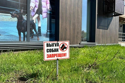 Тюменцы пожаловались на травлю собачников в ЖК «Салют»