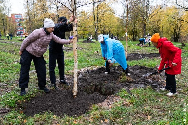 В Череповце появилась «спортивная» аллея | Источник: st.cherinfo.ru