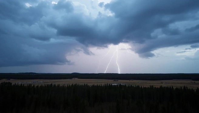 Источник: kuzbass_vadimmm / telegram 