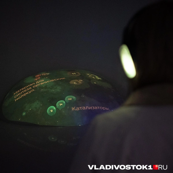 Источник: Елена Буйвол / VLADIVOSTOK1.RU