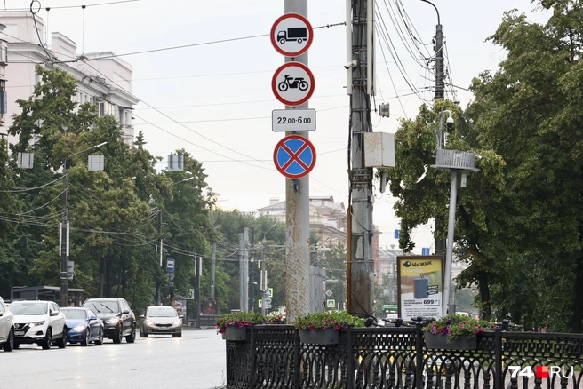 Пока знаки установлены только на небольшом участке проспекте Ленина | Источник: Михаил Шилкин