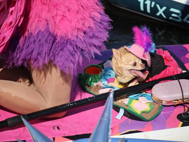 Источник: FONTANKA.RU