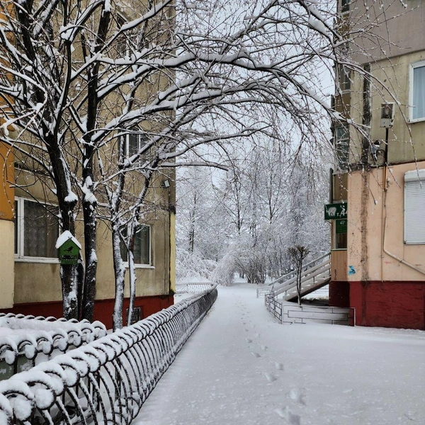 Источник: Нерюнгри NeruInfo / T.me