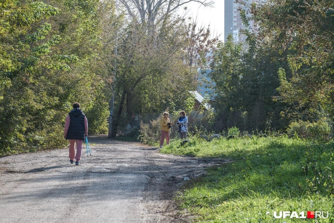 Палки в руки и вперед | Источник: Булат Салихов / UFA1.RU