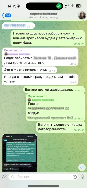 В день, когда все случилось, Родион был на нервах. Это видно по переписке | Источник: Родион Проводин
