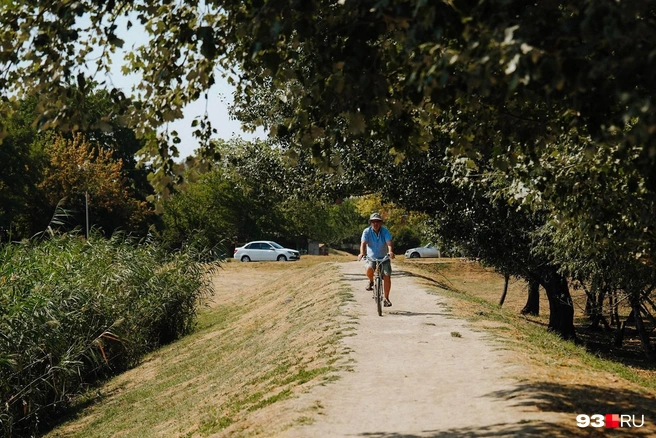 В Краснодаре пока продолжается лето  | Источник: Дарья Паращенко / 93.RU