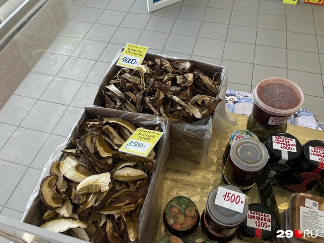 Источник: Антон Данилов / 29.RU