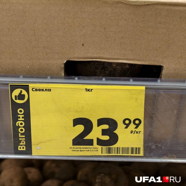 Источник: Булат Салихов / UFA1.RU
