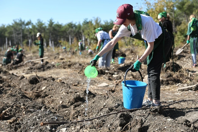 Источник: пресс-служба компании «Магнит»