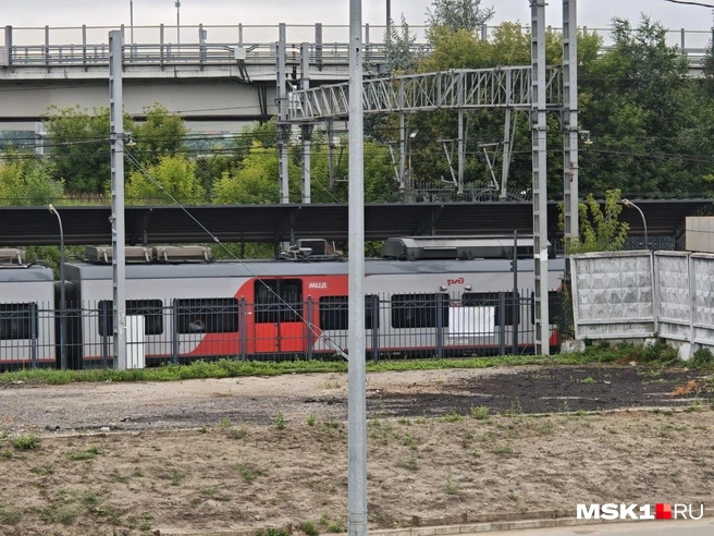 Поезда едут мимо станции | Источник: Анастасия Харитонова / MSK1.RU