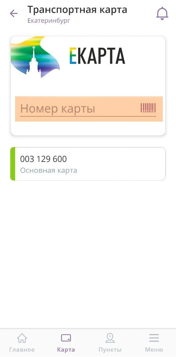 В этом разделе надо ввести номер Екарты | Источник: читатель E1.RU