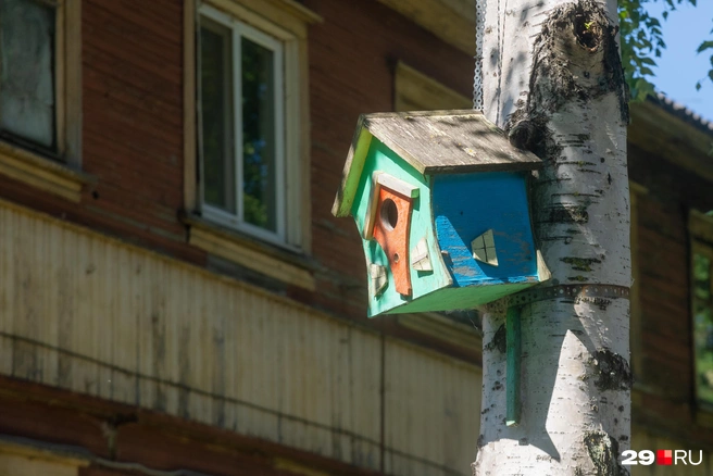 Источник: Иван Митюшёв / 29.RU