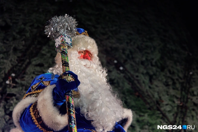 Обычно дети начинают задумываться о существовании Деда Мороза в начальной школе | Источник: Мария Ленц / NGS24.RU