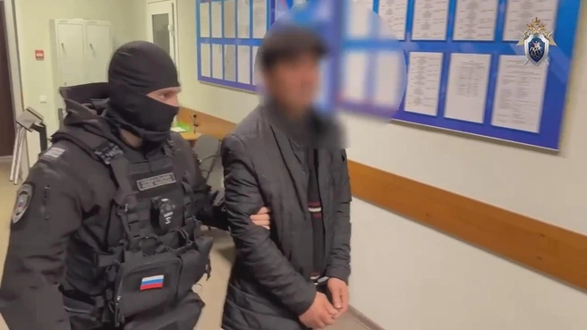 Скриншот из видео | Источник: ГСУ СК РФ по Петербургу