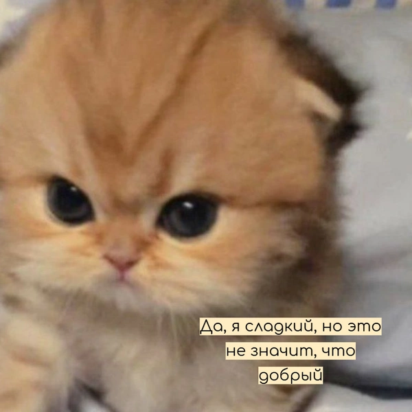 Источник: Социальные сети